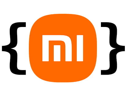 Entwicklermodus auf Xiaomi